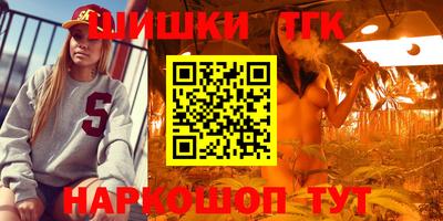 сатива Шебекино