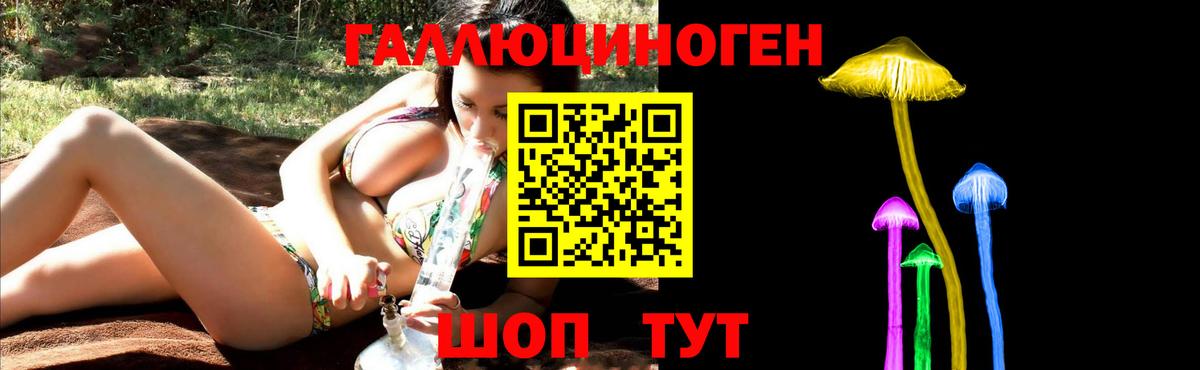 где найти наркотики  Вход с VPN  Курганинск  Псилоцибиновые грибы Psilocybine cubensis  Псилоцибиновые грибы GOLDEN TEACHER 